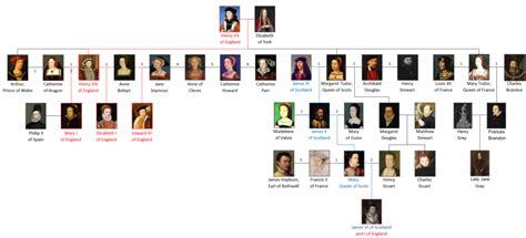 quando arriva tudor|house of tudors wikipedia.